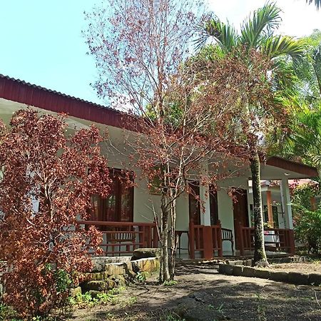 Tangkoko Jungle Homestay Rinondoran Bagian luar foto