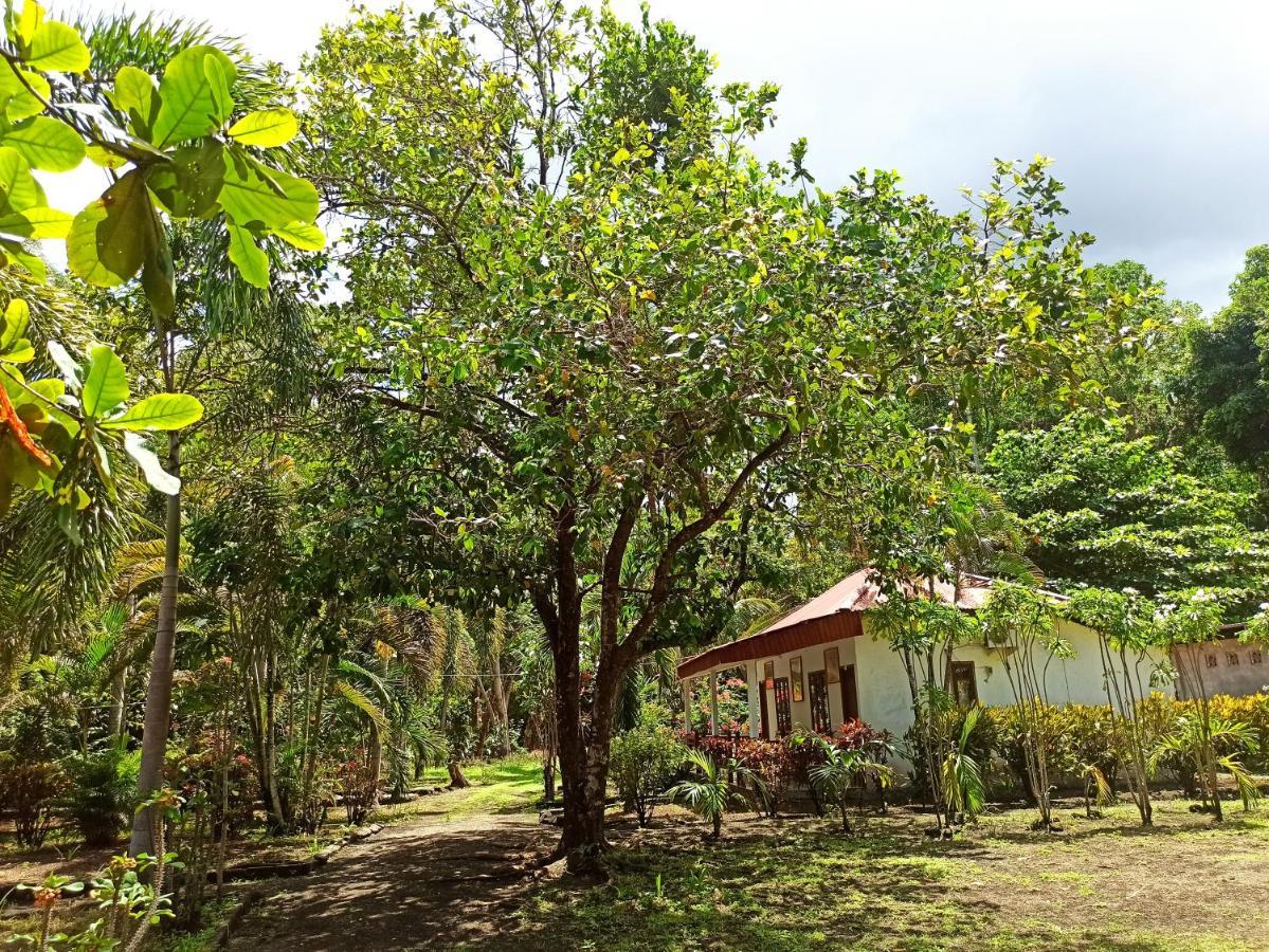 Tangkoko Jungle Homestay Rinondoran Bagian luar foto