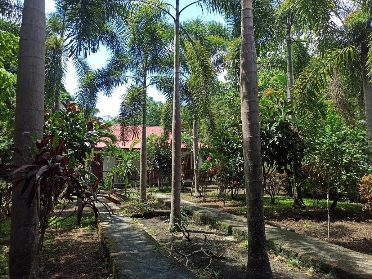 Tangkoko Jungle Homestay Rinondoran Bagian luar foto